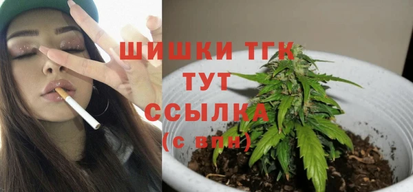 эйфоретик Ельня