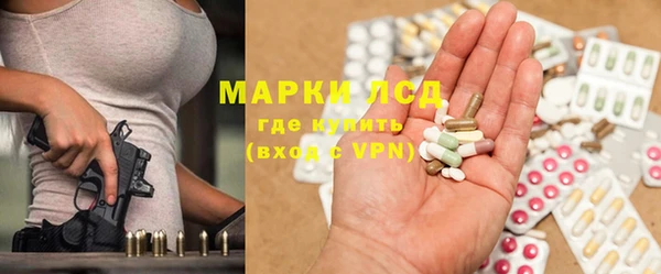 кокс Елизово