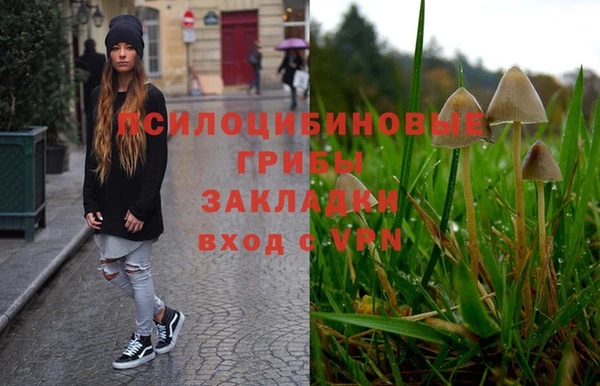 кокс Елизово