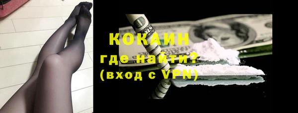 эйфоретик Ельня