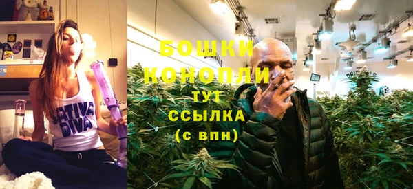 эйфоретик Ельня