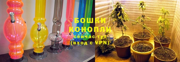 кокс Елизово