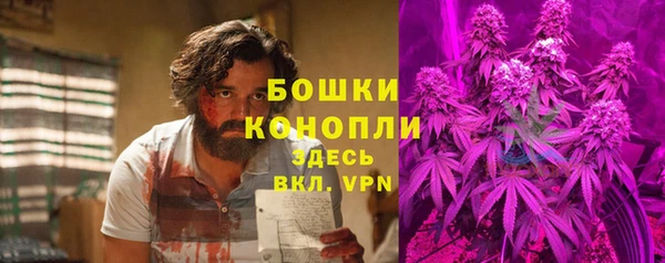 эйфоретик Ельня