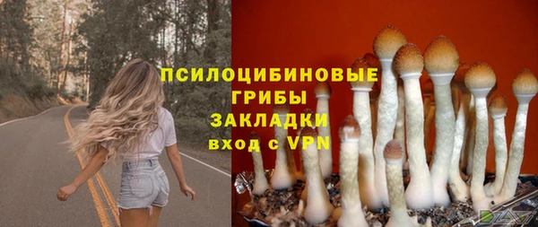 эйфоретик Ельня