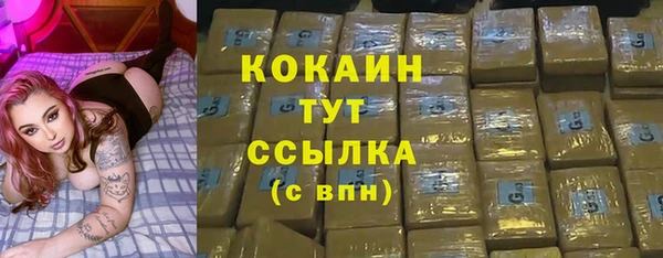 кокс Елизово