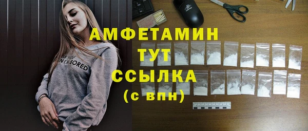 эйфоретик Ельня