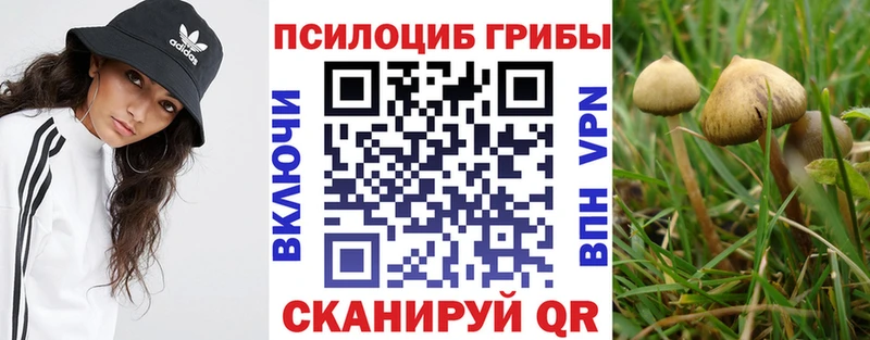 Галлюциногенные грибы MAGIC MUSHROOMS  купить   дарк нет наркотические препараты  Руза 